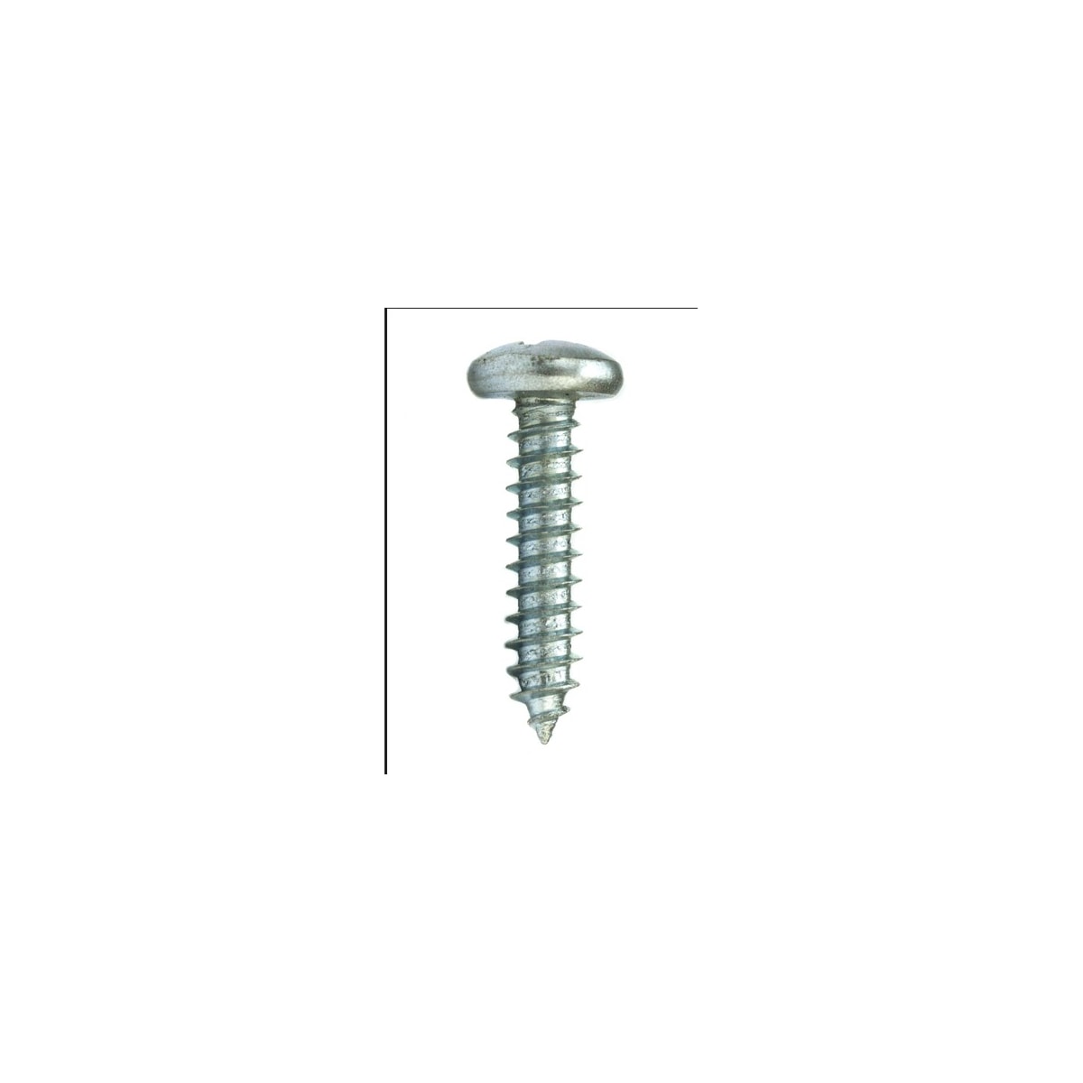Parafuso Auto-Atarraxante Cabeça Panela Phillips 5.5 x 50 Aço Inox A2 (1 Peça) - BELENUS-AAPNPH5.5X50ZI