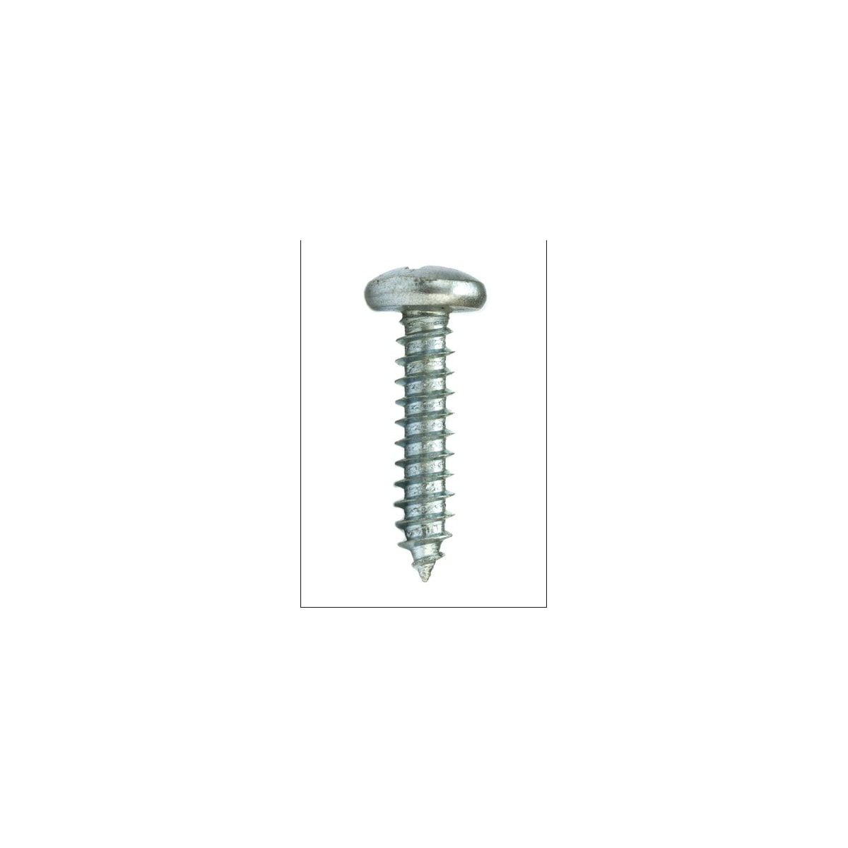 Parafuso Auto-Atarraxante Cabeça Panela Phillips 6.3 x 19 Aço Inox A2 (1 Peça) - BELENUS-AAPNPH6.3X19ZI