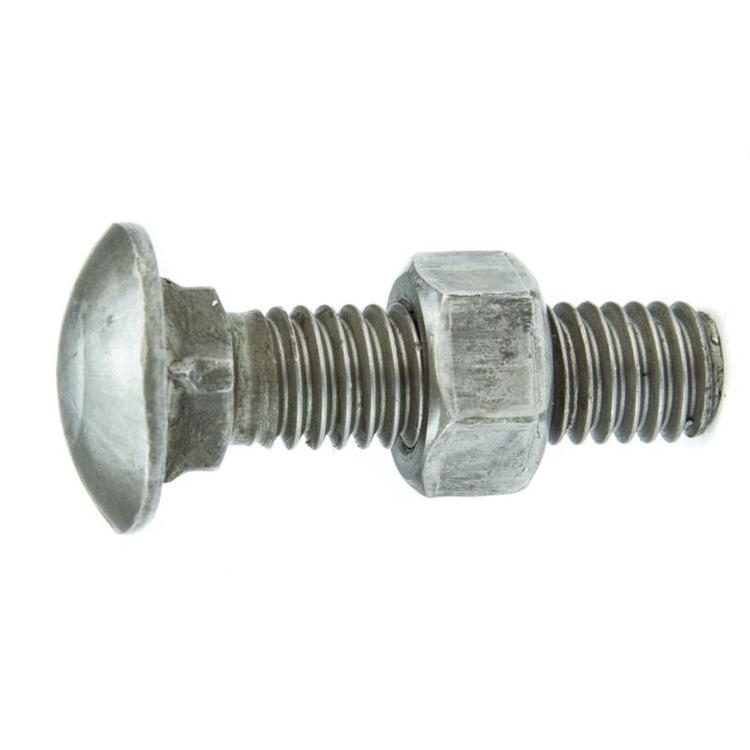 image_877584d1-c3f1-486d-ab2d-1ac56109d06a