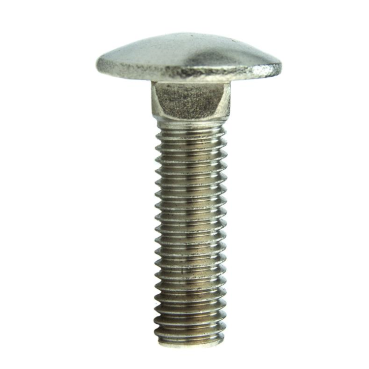 Parafuso Francês MA 6 X 16 mm Aço Inox A2 Passivado (1 Peça) - BELENUS-FRSP6X16A2