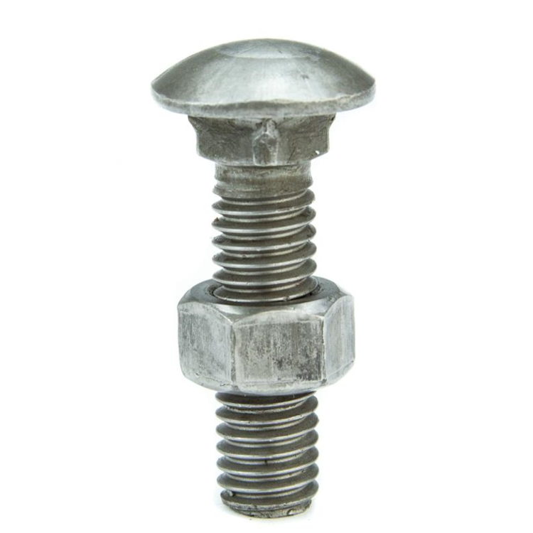 Product main image - 0370e532-0559-484f-b423-74ac7e2f77e6