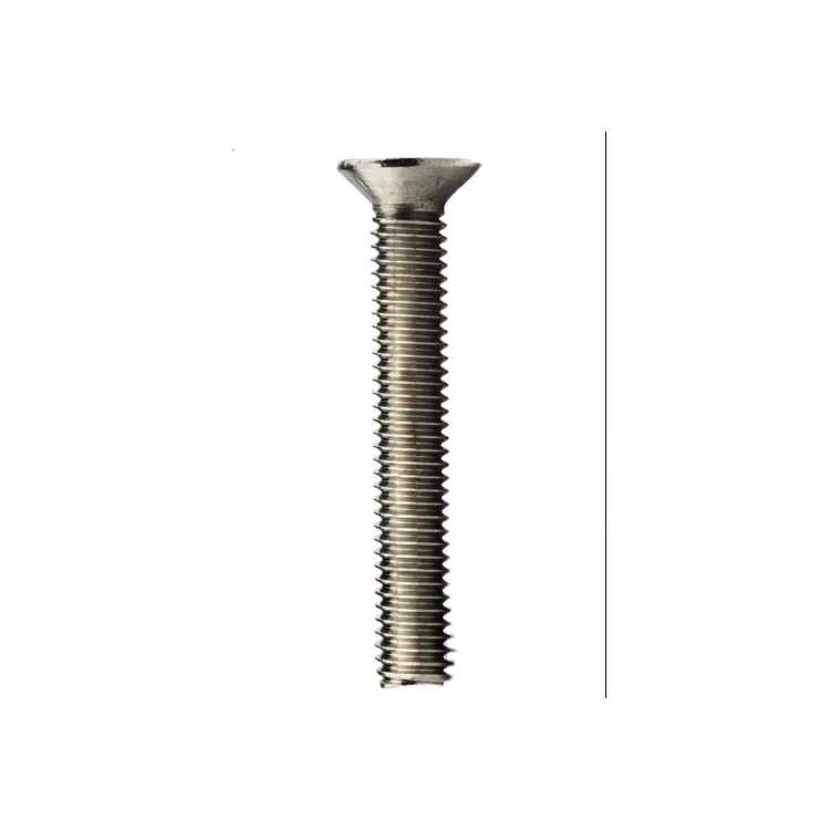 Parafuso Rosca Maquina Cabeça Chata Phillips MA 4 X 6 Aço Inox A2 (1 Peça) BELENUS - RMCHPZ4X6A2