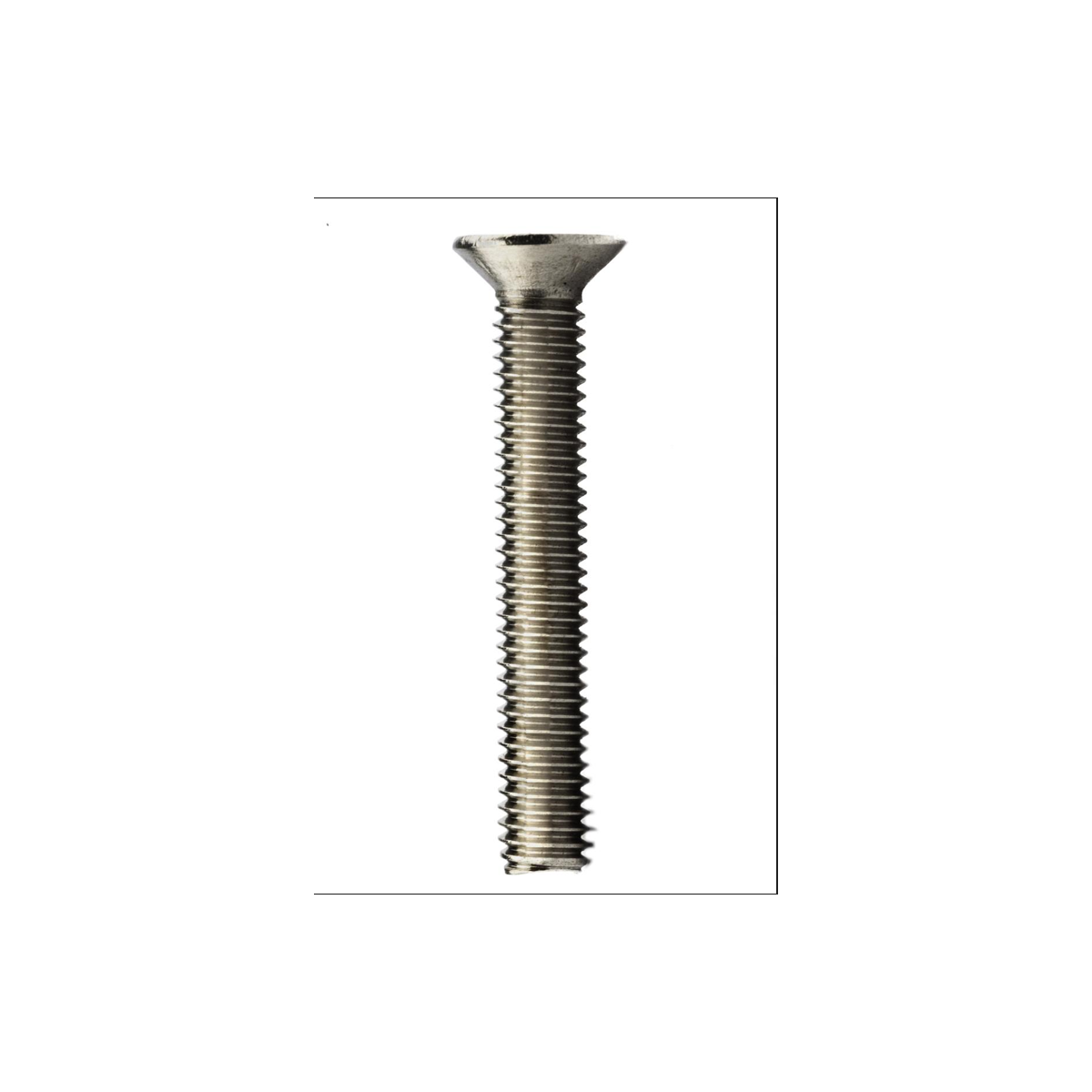 Parafuso Rosca Maquina Cabeça Chata Phillips MA 5 X 40 Aço Inox A2 (1 Peça) BELENUS - RMCHPZ5X40A2