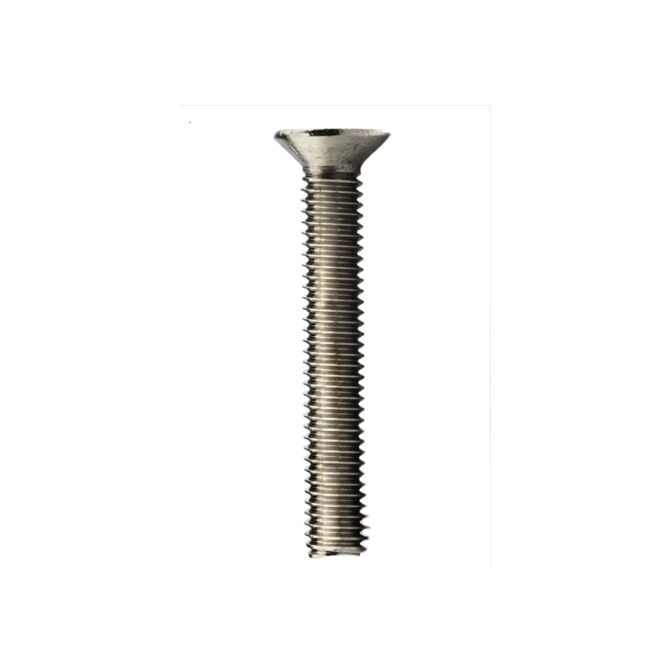 Parafuso Rosca Maquina Cabeça Chata Phillips MA 6 X 10 Aço Inox A2 (1 Peça) BELENUS - RMCHPZ6X10A2