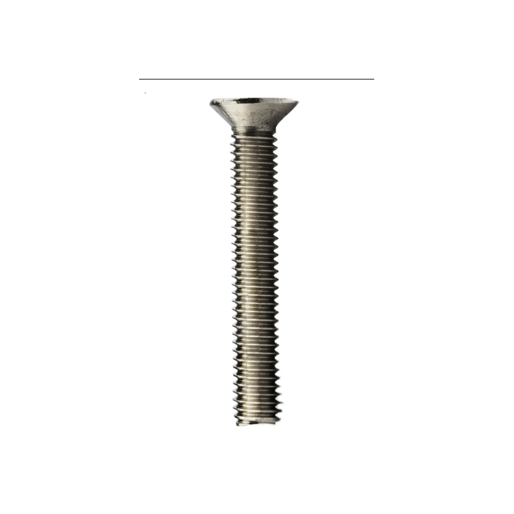 Parafuso Rosca Maquina Cabeça Chata Phillips MA 8 X 12 Aço Inox A2 (1 Peça) BELENUS - RMCHPZ8X12A2