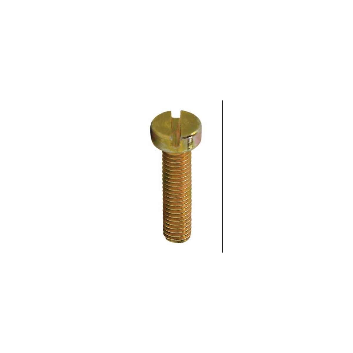 Parafuso Rosca Maquina Cabeça Cilindrica c/Fenda 80 x 8 Bicromatizado (1 Peça) - BELENUS-RMCL5X8BC
