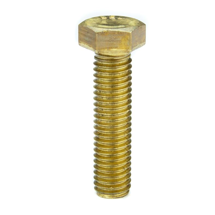 Product main image - 45cdaaa5-19e9-4879-beaa-01b1d8662d01