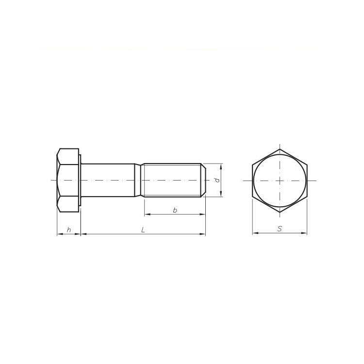 image_411ed548-2384-4dc5-aa7e-abfea4c5b53b