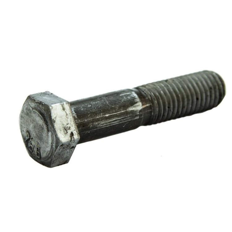 image_5dd8b4bc-ddb5-43b4-b02b-73987bfda769