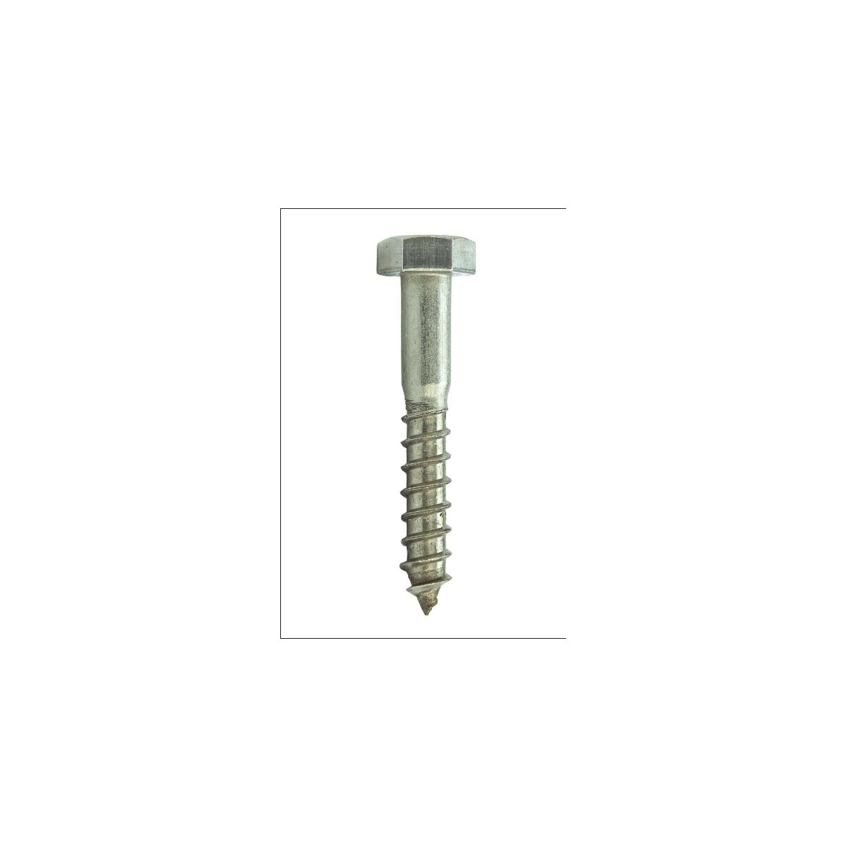 Parafuso sextavado Rosca Soberba M6 X 25 Aço Inox A2 Passivado (1 Peça) - BELENUS - SXRS6X25A2